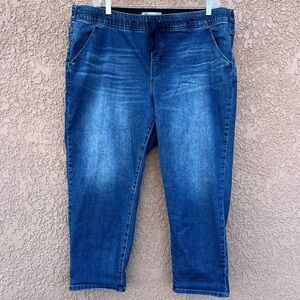 Democracy Ab Solution‎ Jeans Size 22W Women’s Blue Distressed Denim Contemporary